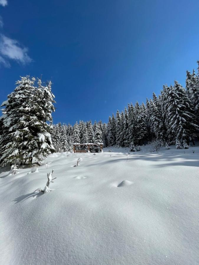 Fantazia Kulcsoshaz Villa Ciumani Dış mekan fotoğraf